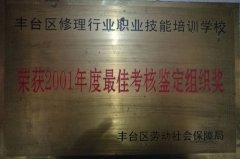 老女人屄